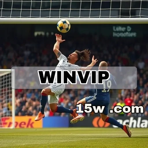 winvip: Descubra o Que Torna o Bingo Online Especial